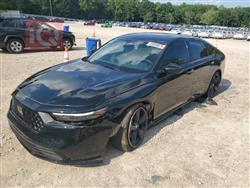 هوندا أكورد